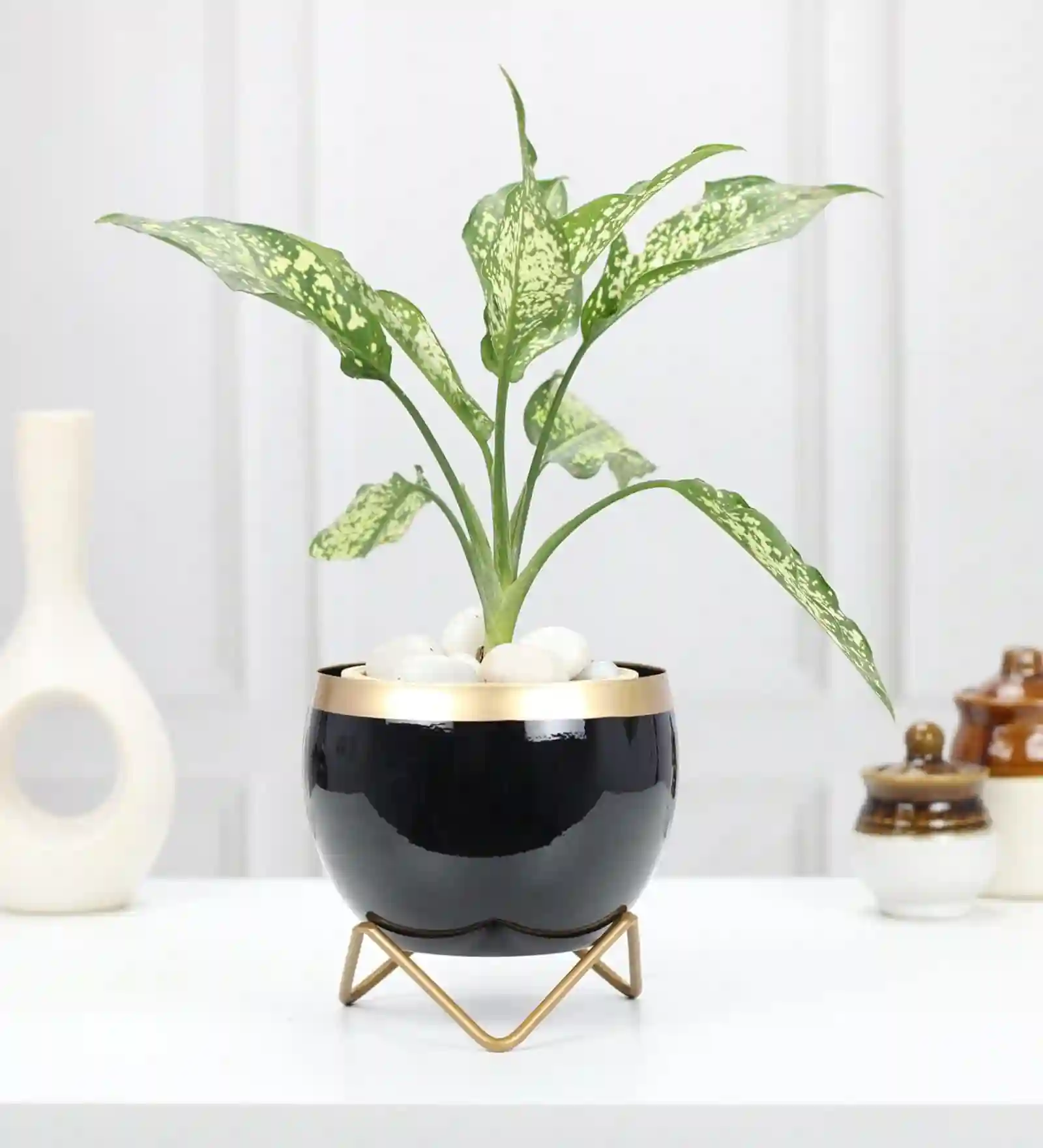 Metal Flower pot