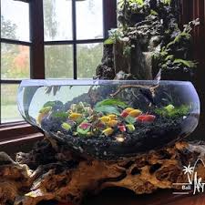 Terrarium Bowl